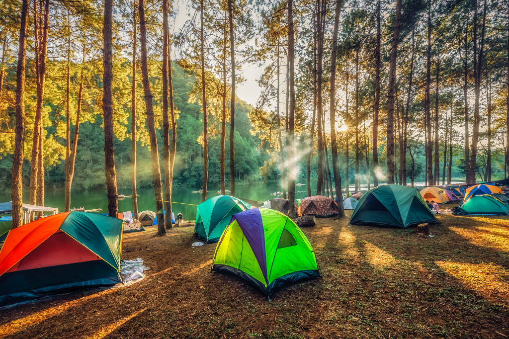 Colorful tents set up in a forest beside a river.