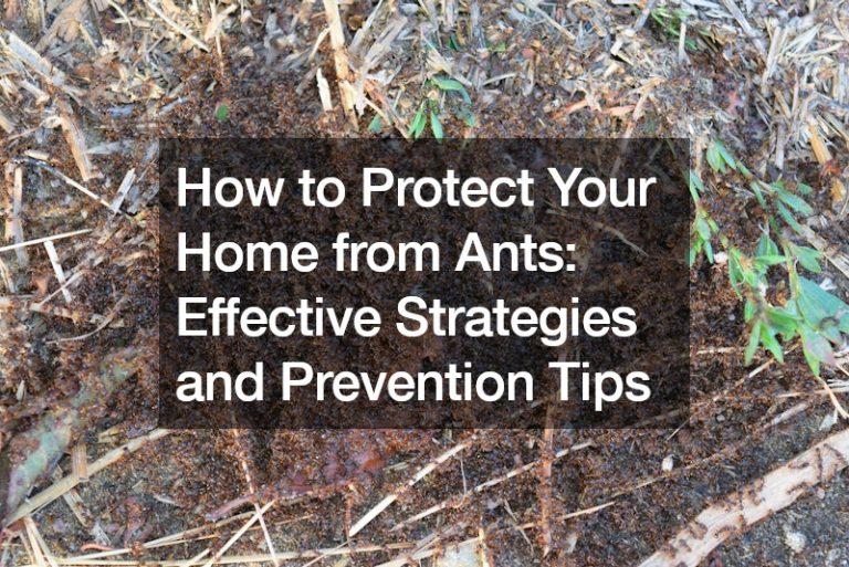 How to Protect Your Home from Ants Effective Strategies and Prevention Tips