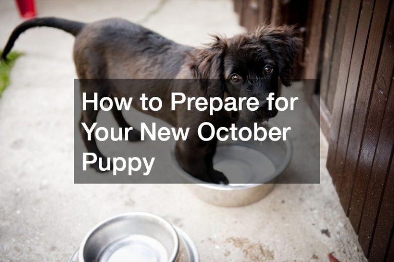 How to Prepare for Your New October Puppy