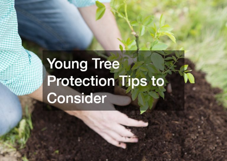 Young Tree Protection Tips to Consider