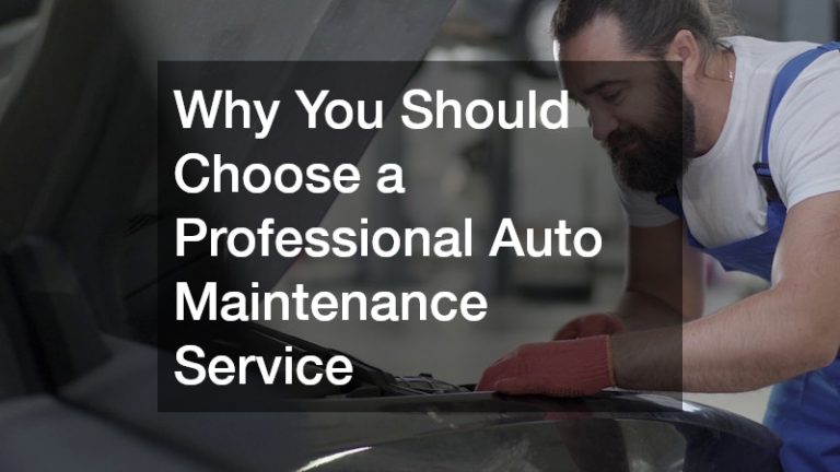 Why You Should Choose a Professional Auto Maintenance Service